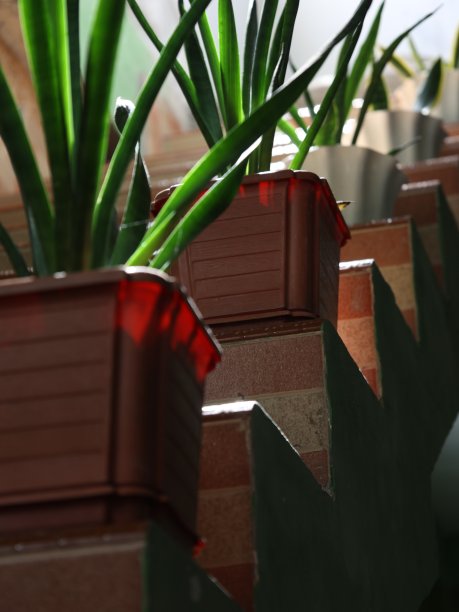 桑西维拉图片下载