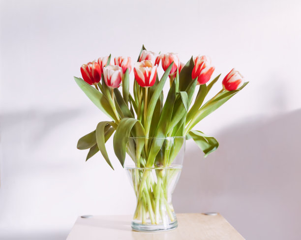 郁金香花束在花瓶里。节日花卉装饰。图片下载