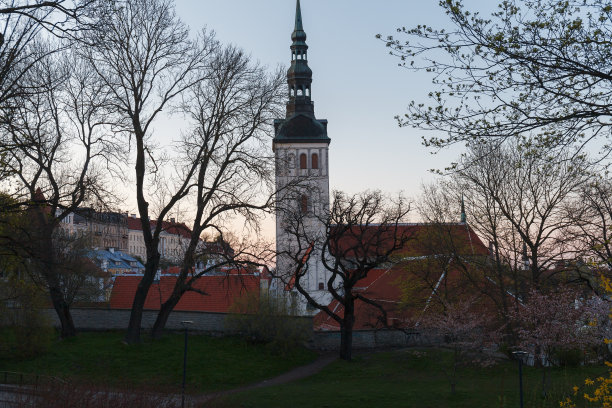 塔林春天的夜晚，树木盛开图片下载