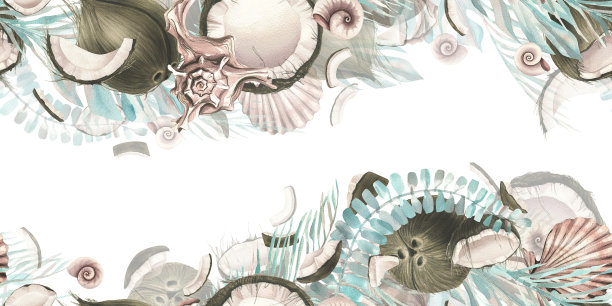 完整的椰子和热带棕榈叶和贝壳片。水彩插图。从椰子系列的白色背景无缝边框。用于设计和印刷。图片下载