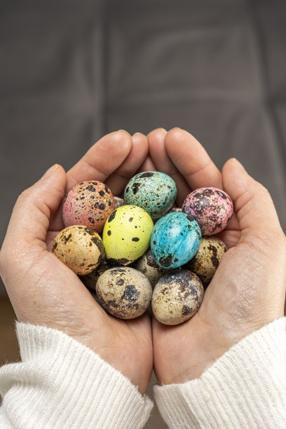 女人手中五颜六色的复活节彩蛋。鹌鹑蛋图片下载