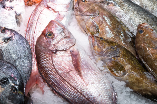 巴塞罗那街头市场上，一些新鲜的鱼躺在白色的冰上。图片下载
