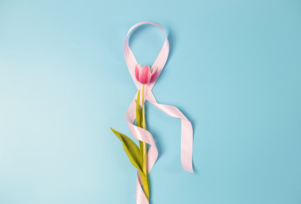 一条粉色丝带，蓝色背景上有一朵郁金香。图片下载