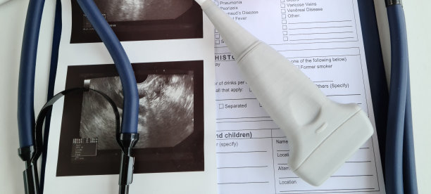 胚胎模型及子宫超声图片下载