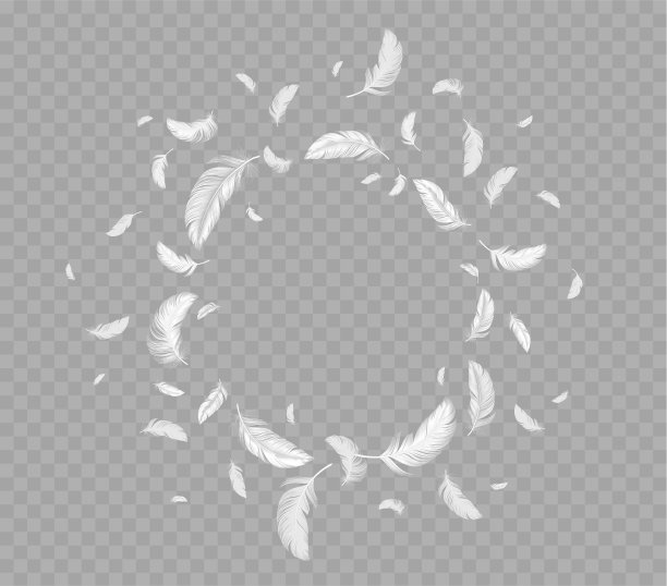 圆形框架的飞行白色软鸟羽毛图片下载