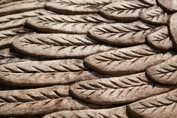 美丽的特写羽毛图案雕刻在一个粘土鸟雕塑图片下载