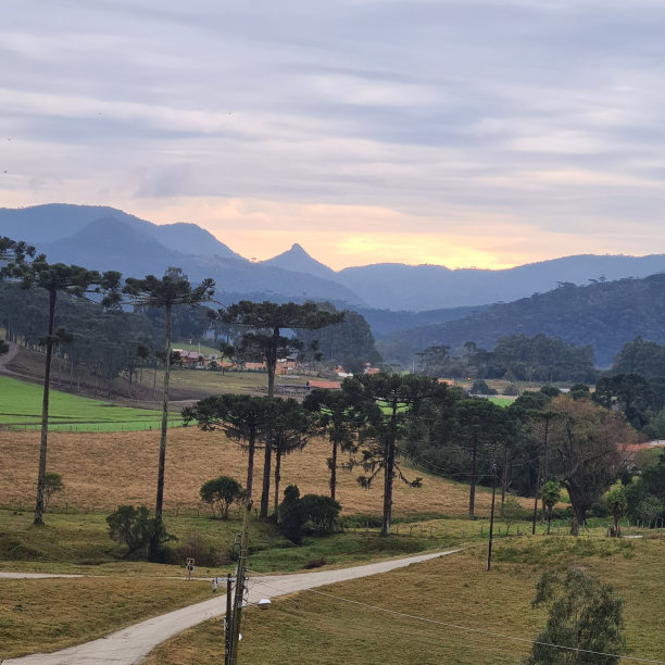 一张圣卡塔琳娜潘帕斯草原的照片，展示了色彩缤纷的天空，araucaria和在寒冷中睡着的草……图片下载