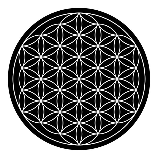 神圣几何生命之花图片下载