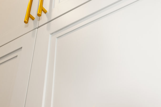 房子拥有白色的橱柜和抽屉作为其内部设计的一部分。图片下载