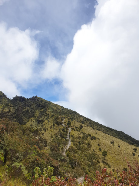 从拉乌山的登山路线上看到的美丽山脉图片下载
