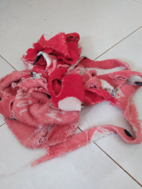 被狗吃了一半后又烂又破的毯子图片下载