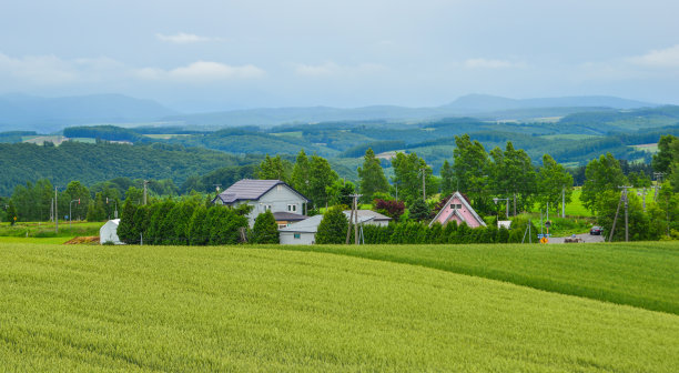 夏日美丽的乡村风光图片下载