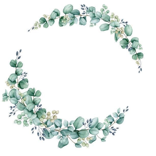 桉树树枝和浆果的水彩花环。植物插图的设计邀请，卡片，祝贺，标志，标签，文具。婚礼、周年纪念、生日设计。图片下载