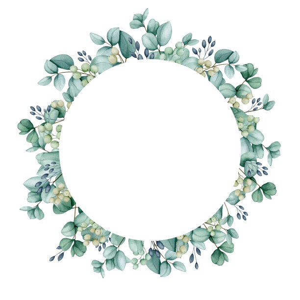 由桉树树枝制成的圆形框架。水彩边界设计贺卡，邀请，祝贺，海报，公告。婚礼、情人节、生日、周年纪念设计。图片下载