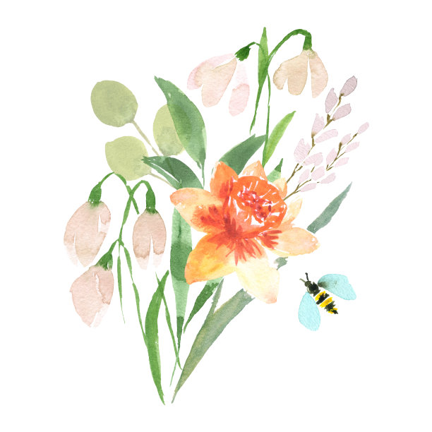 水彩花卉插图。充满活力的花香和春天的叶子。图片下载