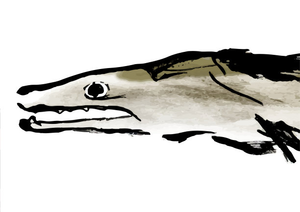 手绘的日本风格的插图康格图片下载