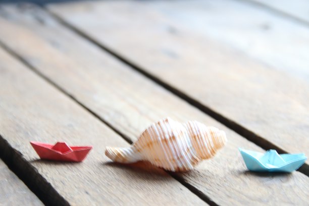 夏天的背景。木制背景上的贝壳。图片下载