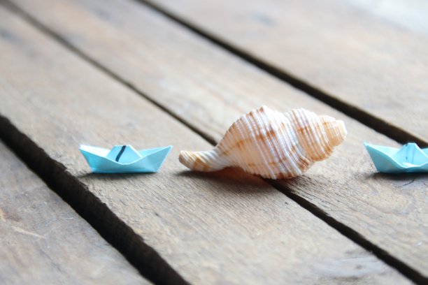 夏天的背景。木制背景上的贝壳。图片下载