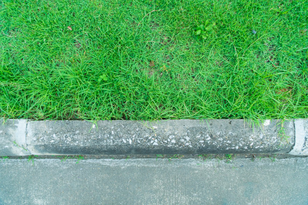 顶视图的绿色草地与旧混凝土板边界。绿色的草。绿色草地的边缘和人行道的混凝土边缘。图片下载