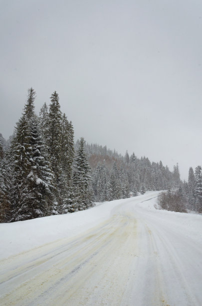 高山上的道路被雪覆盖。冬季景观。松树下了一层厚厚的雪。高地上的降雪。严酷的冬天。冬天的自然照片。图片下载