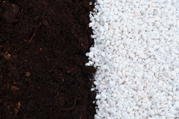 土壤和珍珠岩植物。火山成因的中性物质图片下载