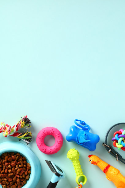 蓝色背景上的狗饰品。宠物玩具和美容用品。前视图。平的。图片下载
