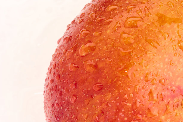 芒果，新鲜蔬菜和水果的照片，背景清晰。图片下载