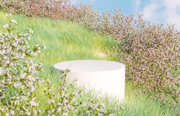 自然美丽的讲台背景与春天樱花风景樱花。图片下载