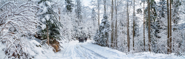 冬季景观，全景，旗帜-视图的雪路与雪橇在冬季山地森林图片下载