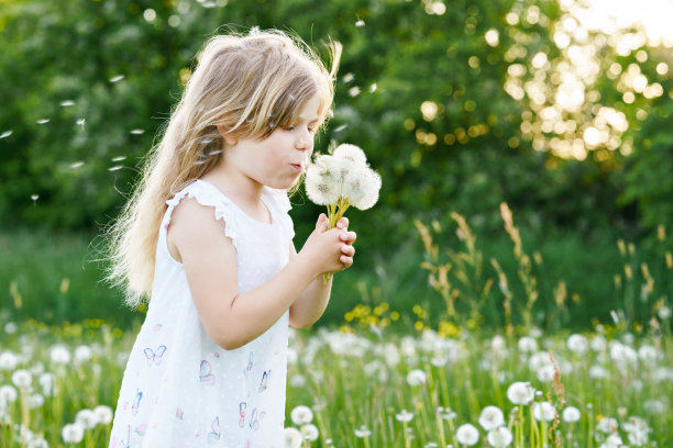 可爱可爱的小学前班女孩在大自然的夏天吹蒲公英花。快乐健康美丽的蹒跚学步的孩子与blowball，玩得很开心。灿烂的夕阳，活跃的孩子。图片下载