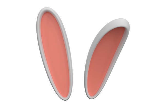 复活节兔子耳朵图片下载