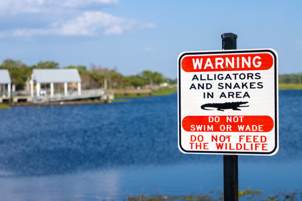 鳄鱼及蛇警告图片下载