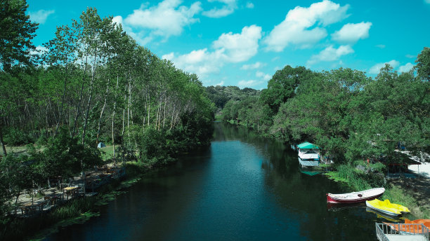 森林溪流和树木船顶部拍摄的鸟瞰无人机照片图片下载