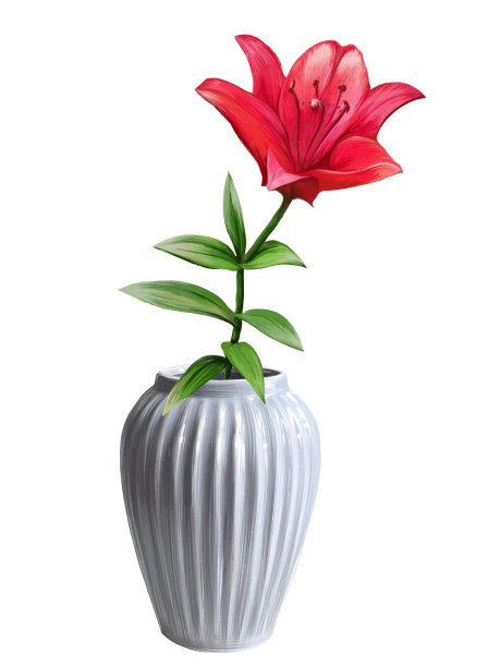 花瓶中的红百合插图图片下载
