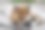 城市红狐躺下图片下载