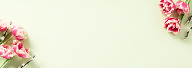 春天的季节静物与粉红色的郁金香和春天的柳枝在绿色的背景俯视图图片下载