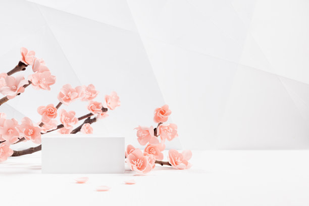 优雅的春天广场讲台上装饰了粉红色的日本樱花枝，在白色的室内几何现代风格，用于展示化妆品，商品，品牌，设计。图片下载