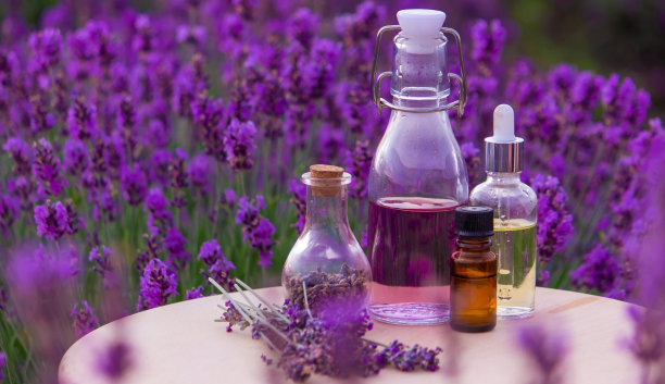 薰衣草油的罐子，薰衣草花，薰衣草田的背景。图片下载