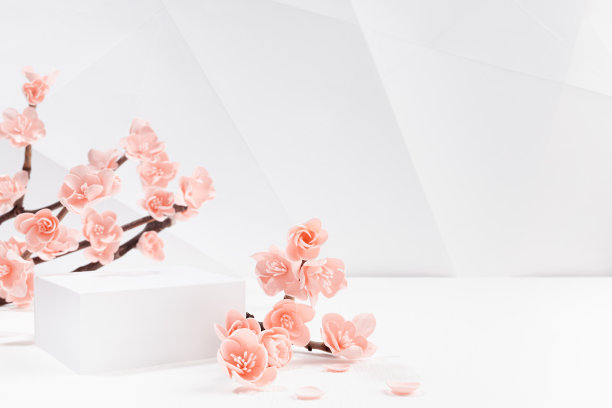 优雅的春天广场讲台上装饰了粉红色的日本樱花枝，在白色的室内几何现代风格，用于展示化妆品，商品，品牌，设计。图片下载