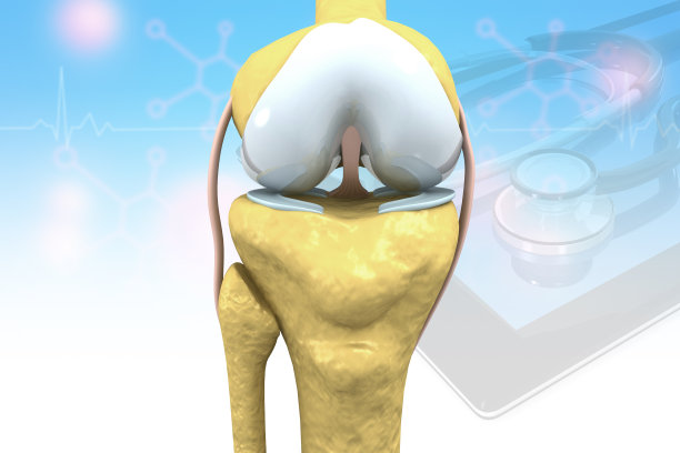 膝关节解剖图片下载