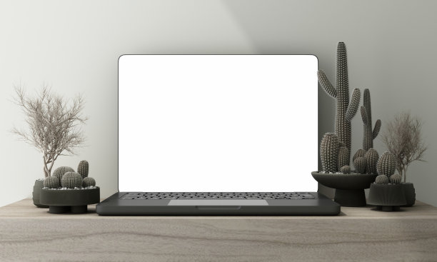 联合办公的办公室内部有演示用的笔记本电脑模型、咖啡杯、文具、植物和站在电脑桌上的猫。前视图工作区。三维渲染图片下载