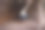 放松的埃及猫鼬特写图片下载