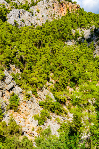 Goynuk峡谷中的岩石。土耳其安塔利亚省图片下载