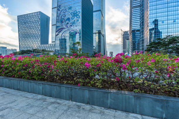 漂亮的花坛附近的现代化办公大楼图片下载