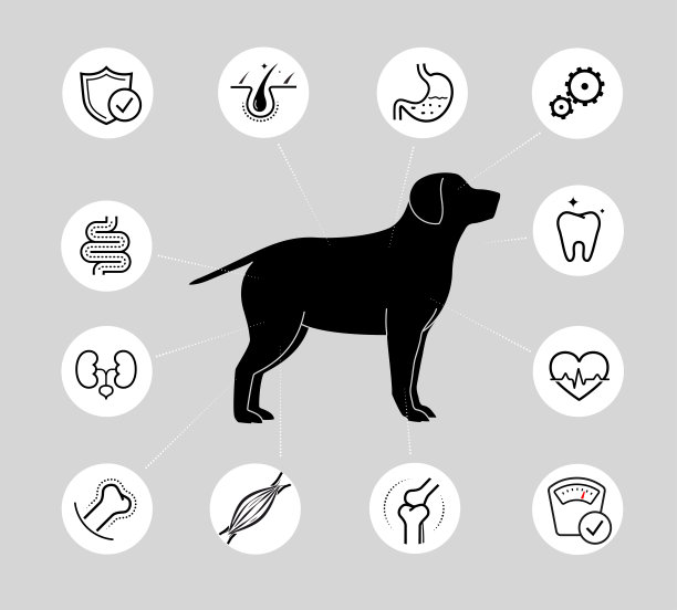 活力图标设置为狗。大纲图标具有良好的可伸缩性和可编辑性。图片下载