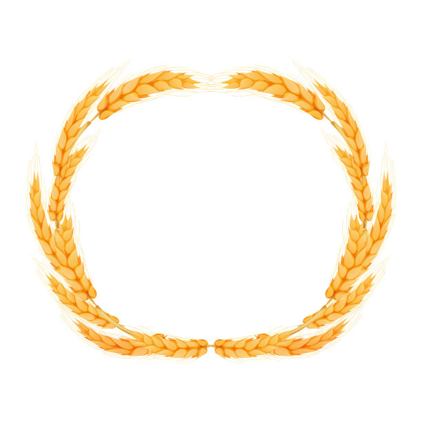 花圈由小穗组成，卡通风格的金色小麦圆框，孤立在白色背景上。用于面包店，标签或标签图片下载