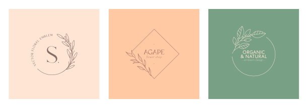 集合矢量花有机标志。带有线性分支和框架的自然符号设计图片下载