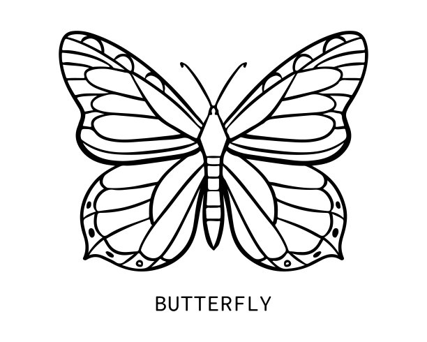 蝴蝶图标在涂鸦风格。手绘矢量插图。白色背景上的孤立元素。图案，卡片，贴纸的设计元素图片下载