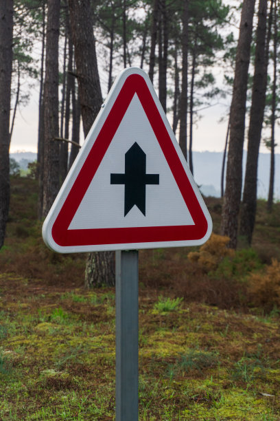 松林中道路上的十字路口警告标志图片下载