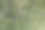 破裂的黄绿色玻璃背景图片下载